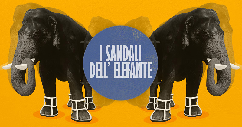 illustrazione: due elefanti con sandali tra un cerchio blu con la scritta I sandali dell'elefante