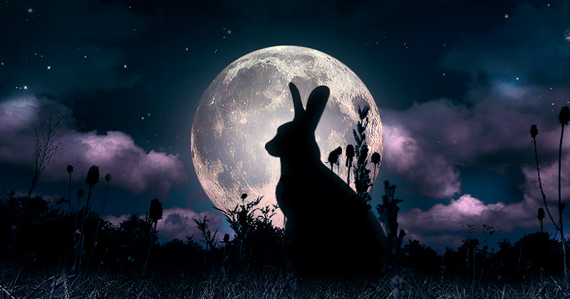 Sagoma di una lepre si staglia contro una luna piena