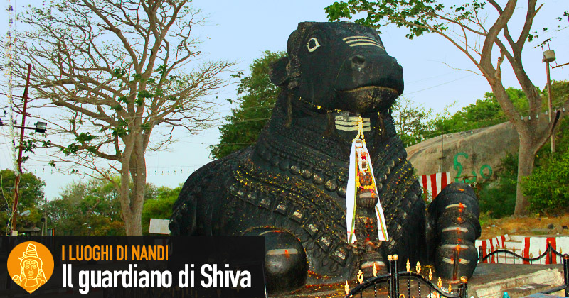 Il luoghi di Nandi, il guardiano di Shiva; enorme statua scura del toro Nandi