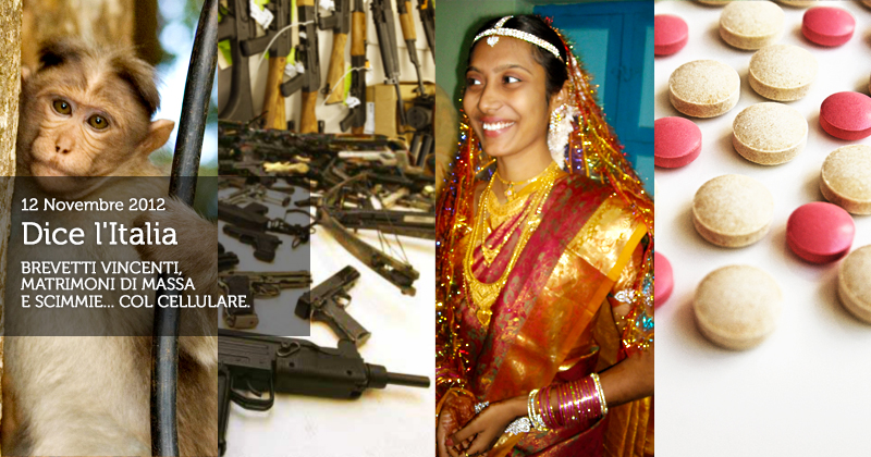 Rassegna stampa 12 nov 2012: una scimmia, delle armi da fuoco, una sposa musulaman e delle pillole